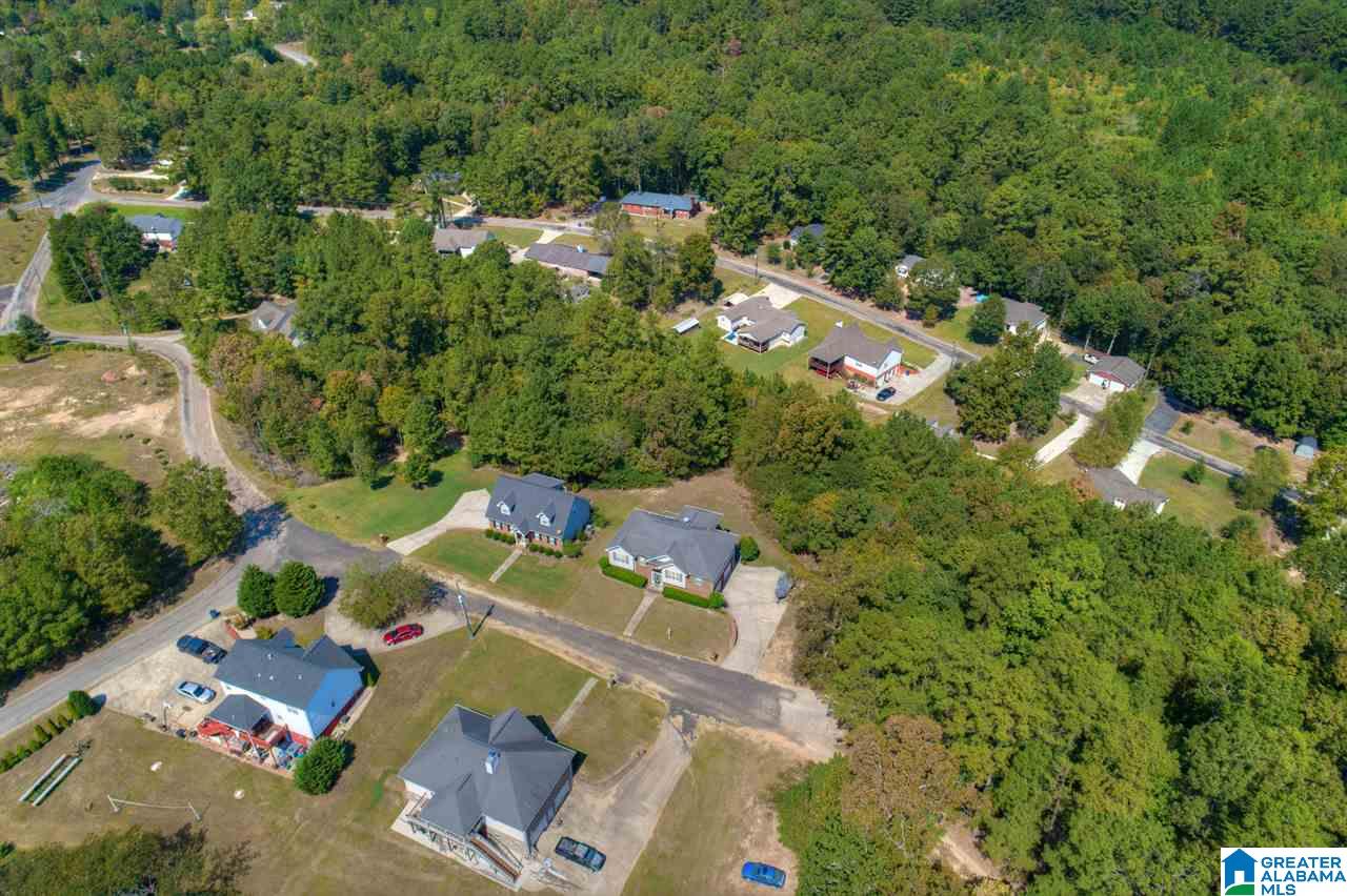 39 Indian Bow Road Warrior, AL 35180 - Photo 32 of 38