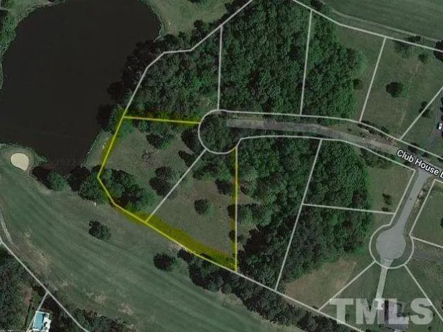 a plant with lots of green space