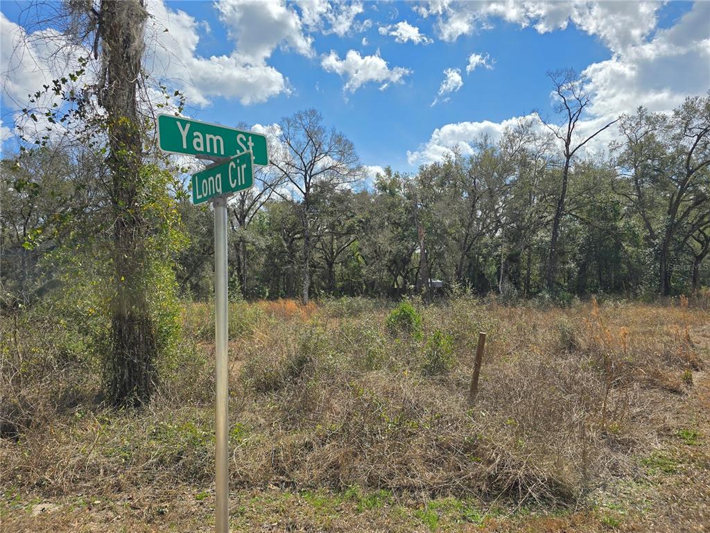 6436 Y Street Webster, FL 33597 - Photo 2 of 14 a view of a dry yard