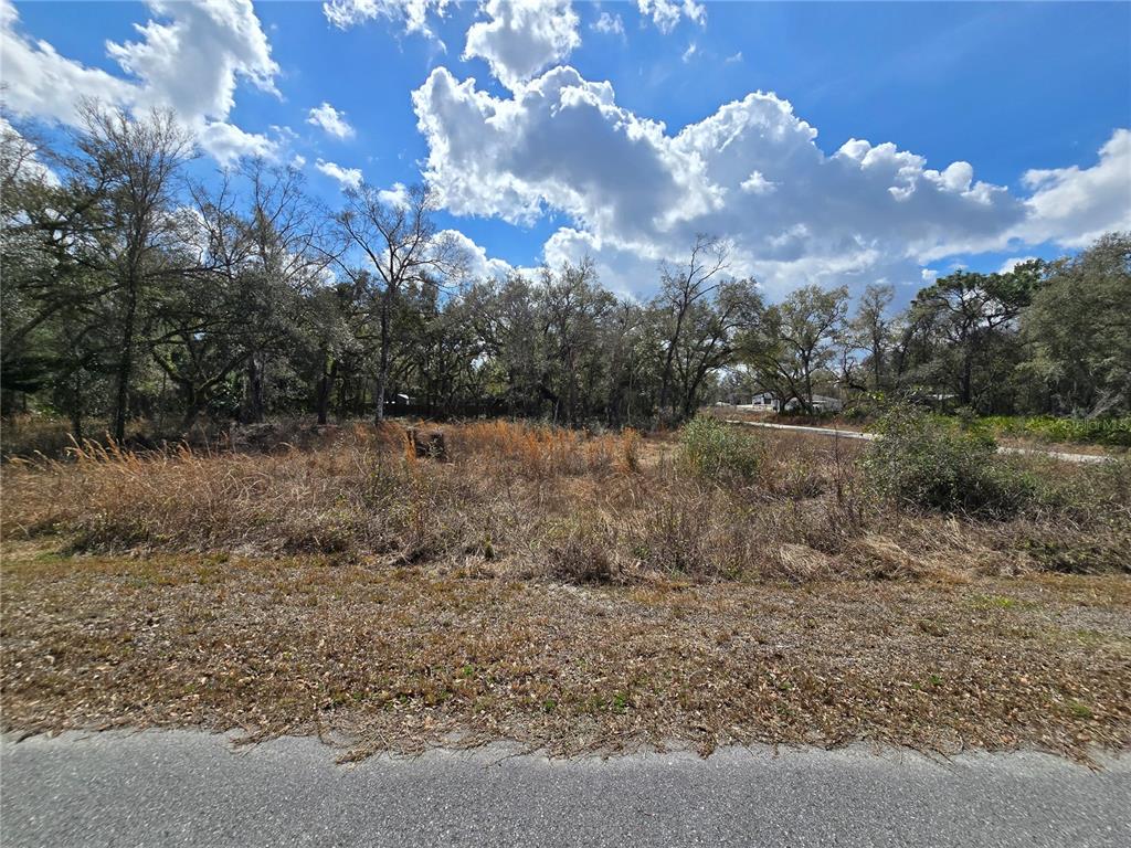 6436 Y Street Webster, FL 33597 - Photo 4 of 14 a view of a covered with trees
