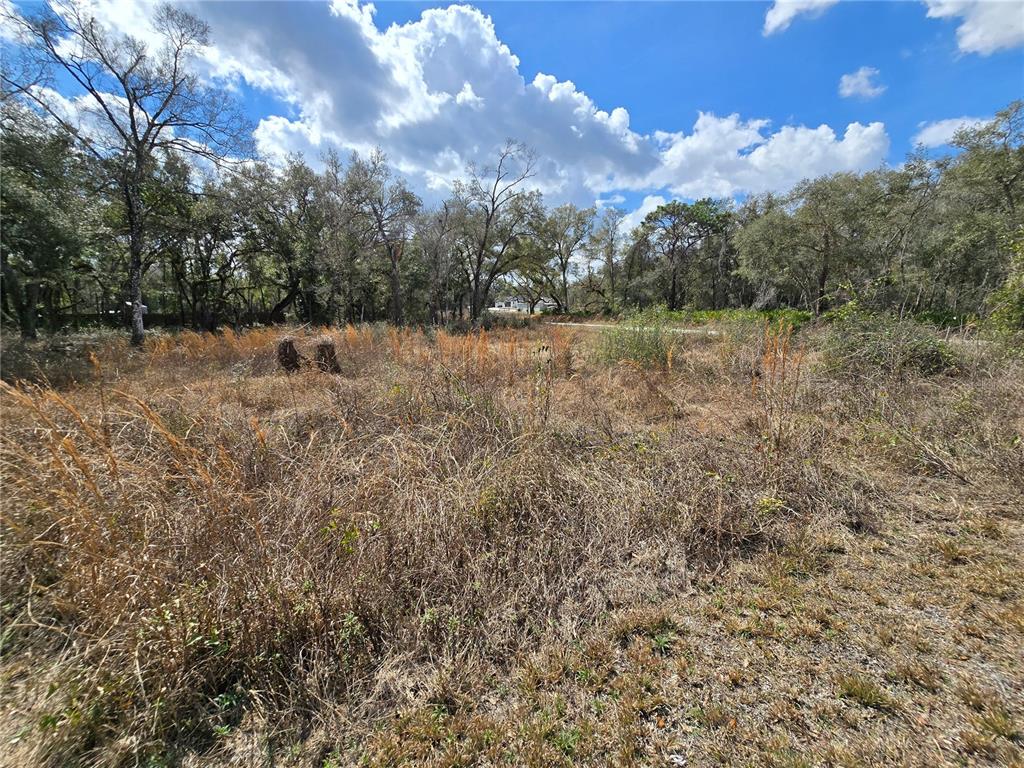 6436 Y Street Webster, FL 33597 - Photo 5 of 14