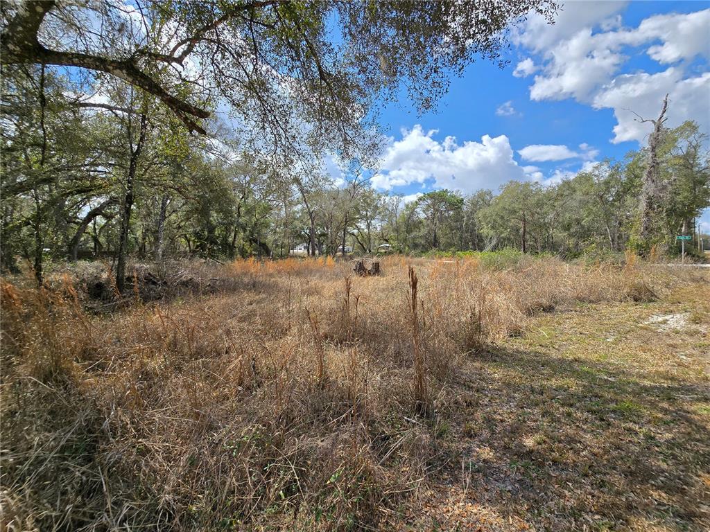 6436 Y Street Webster, FL 33597 - Photo 7 of 14 a view of a yard with trees
