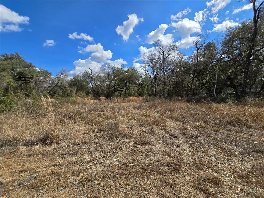 6436 Y Street Webster, FL 33597 - Photo 10 of 14 a view of a building in middle of forest