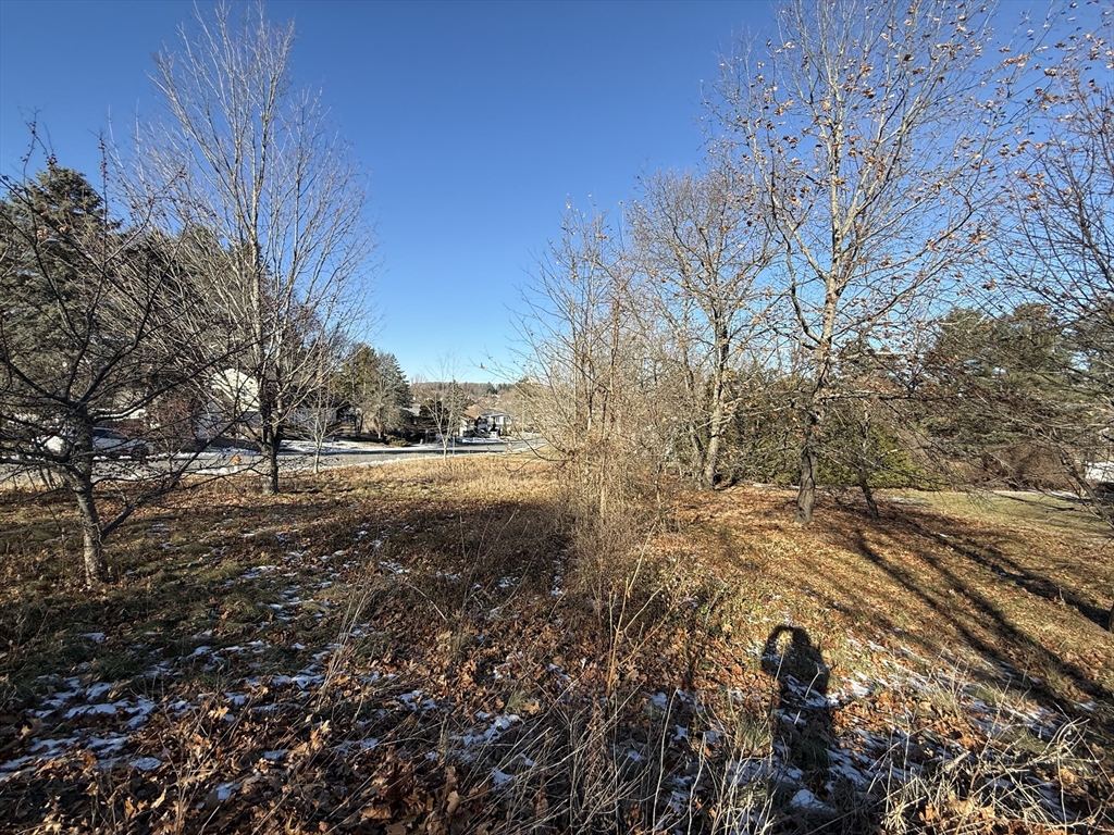 0 Stevens Street Marlborough, MA 01752 - Photo 5 of 11 a view of road view with large trees