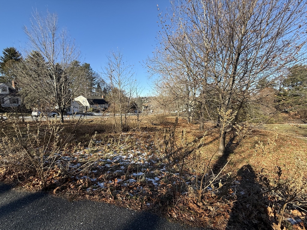 0 Stevens Street Marlborough, MA 01752 - Photo 7 of 11 a view of a yard with a tree