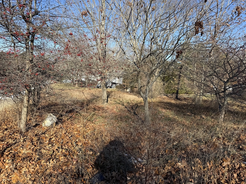 0 Stevens Street Marlborough, MA 01752 - Photo 9 of 11 a view of a yard with a tree