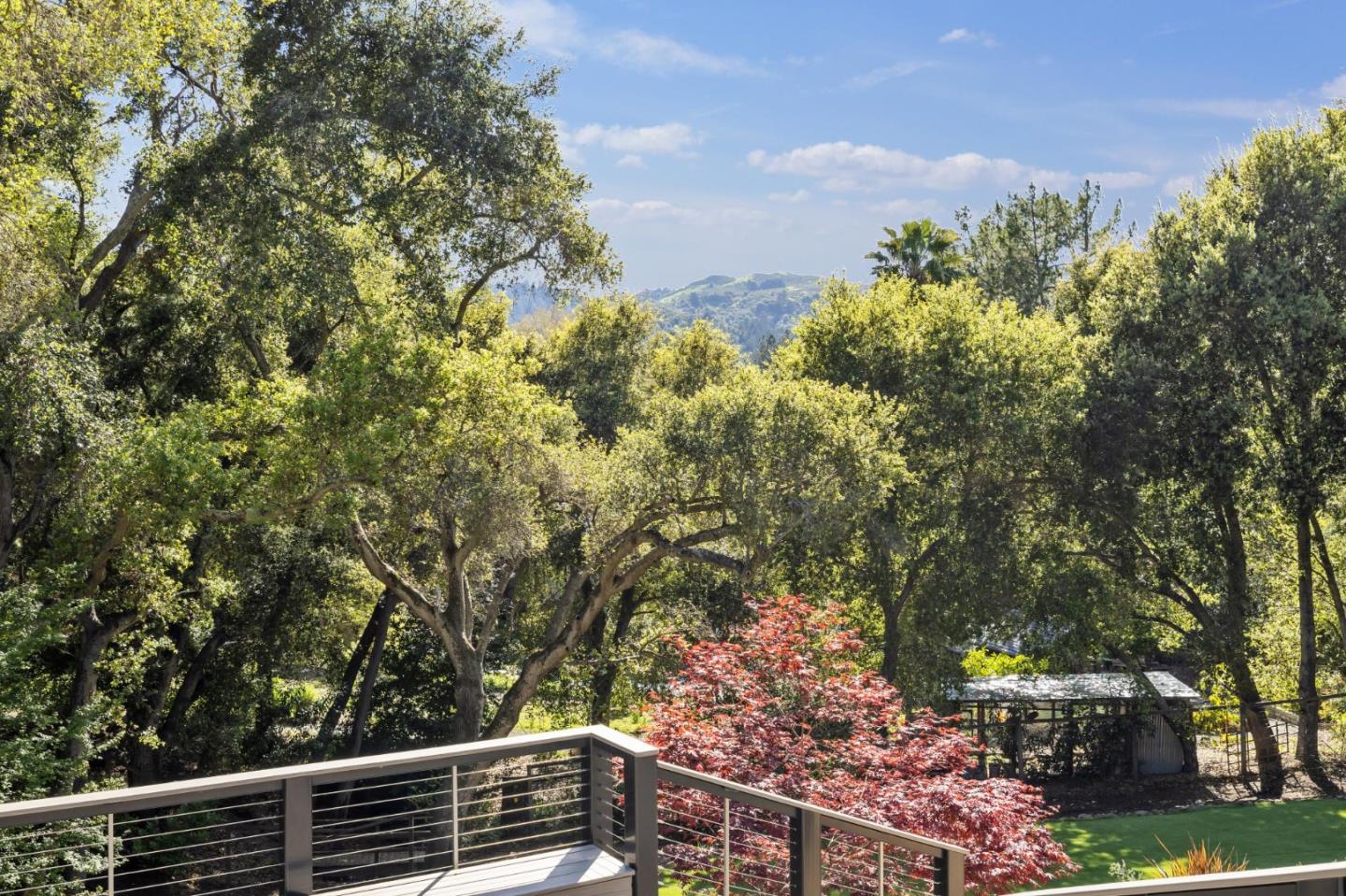 30 Cheyenne Point Portola Valley, CA 94028 - Photo 29 of 38 a view of a yard with plants and trees