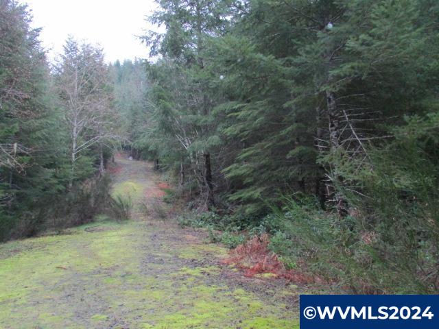 0 Rocky Top Road Sweet Home, OR 97386 - Photo 14 of 14