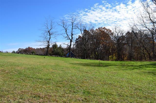 2591 Fairview Church Road Southwest Floyd, VA 24091 - Photo 8 of 37 a view of a grassy field