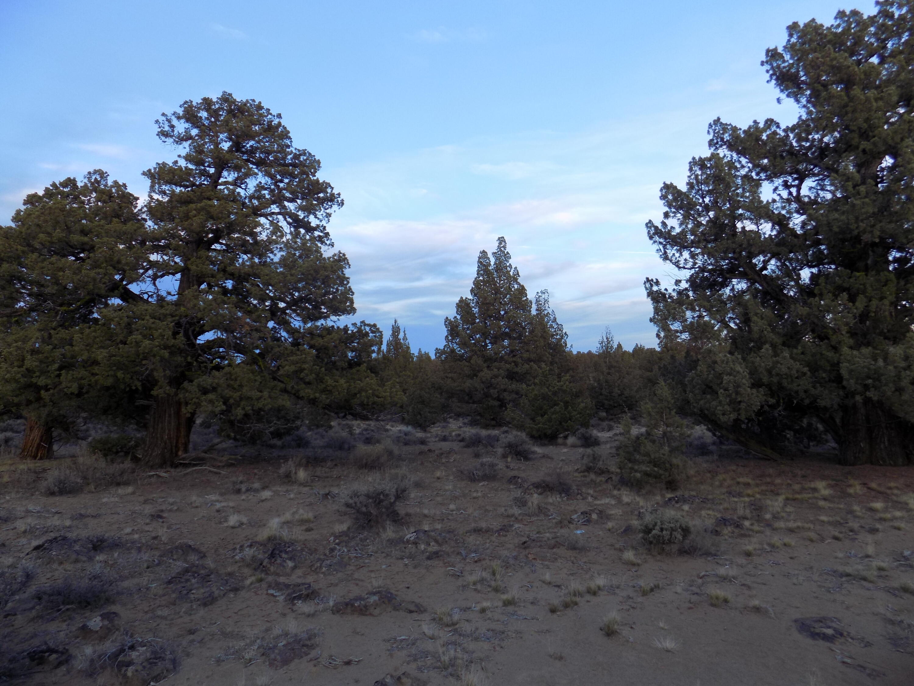 1400 Golden View Ranch Bend Bend, OR 97701 - Photo 10 of 13 DSCN6157