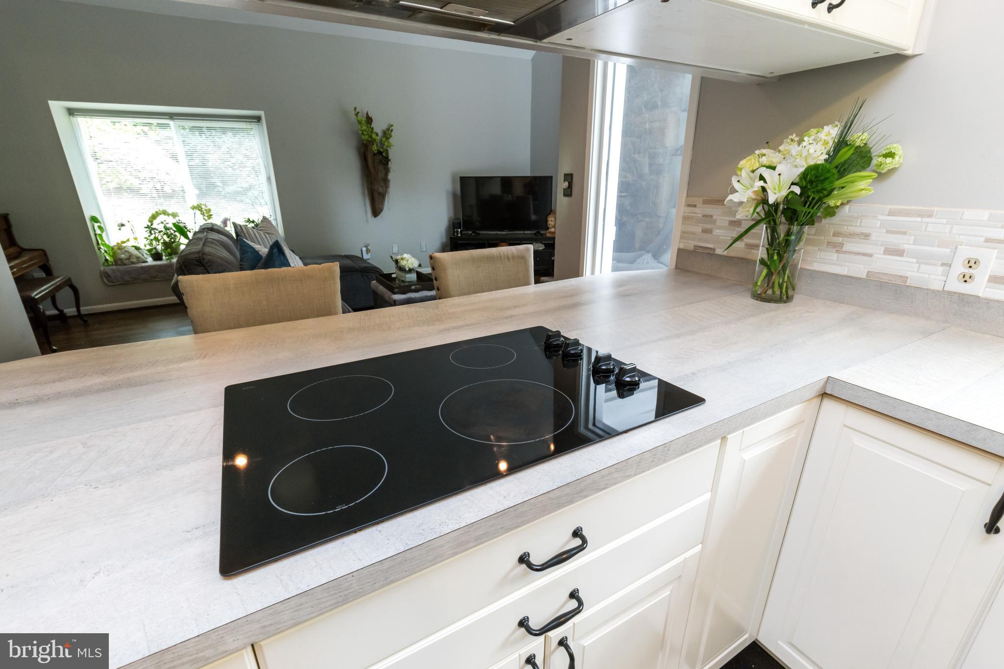 6405 Walhonding Road Bethesda, MD 20816 - Photo 15 of 52 Gallery Image 15