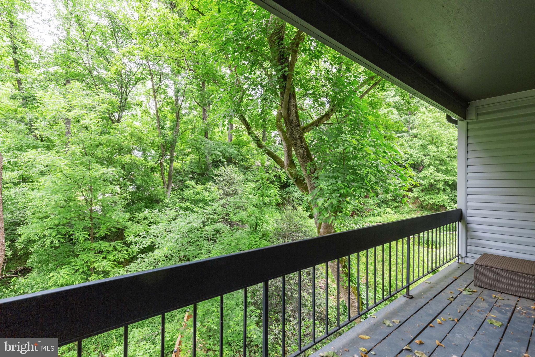 6405 Walhonding Road Bethesda, MD 20816 - Photo 49 of 52 Gallery Image 49