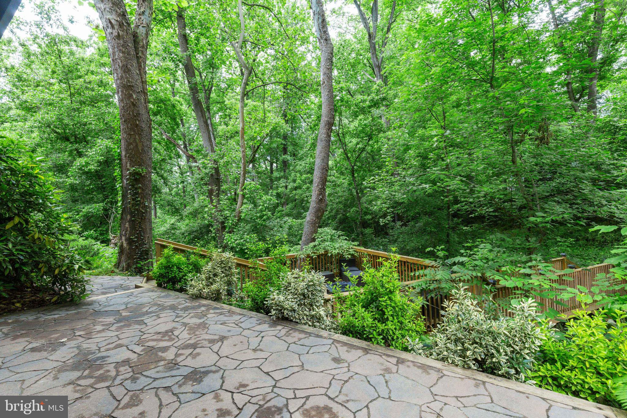 6405 Walhonding Road Bethesda, MD 20816 - Photo 52 of 52 Gallery Image 52