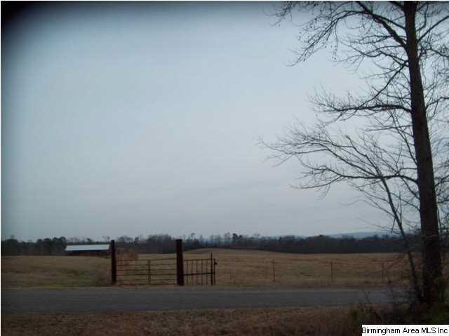 New Prospect Church Road, Unit 16 Horton, AL 35980 - Photo 2 of 20