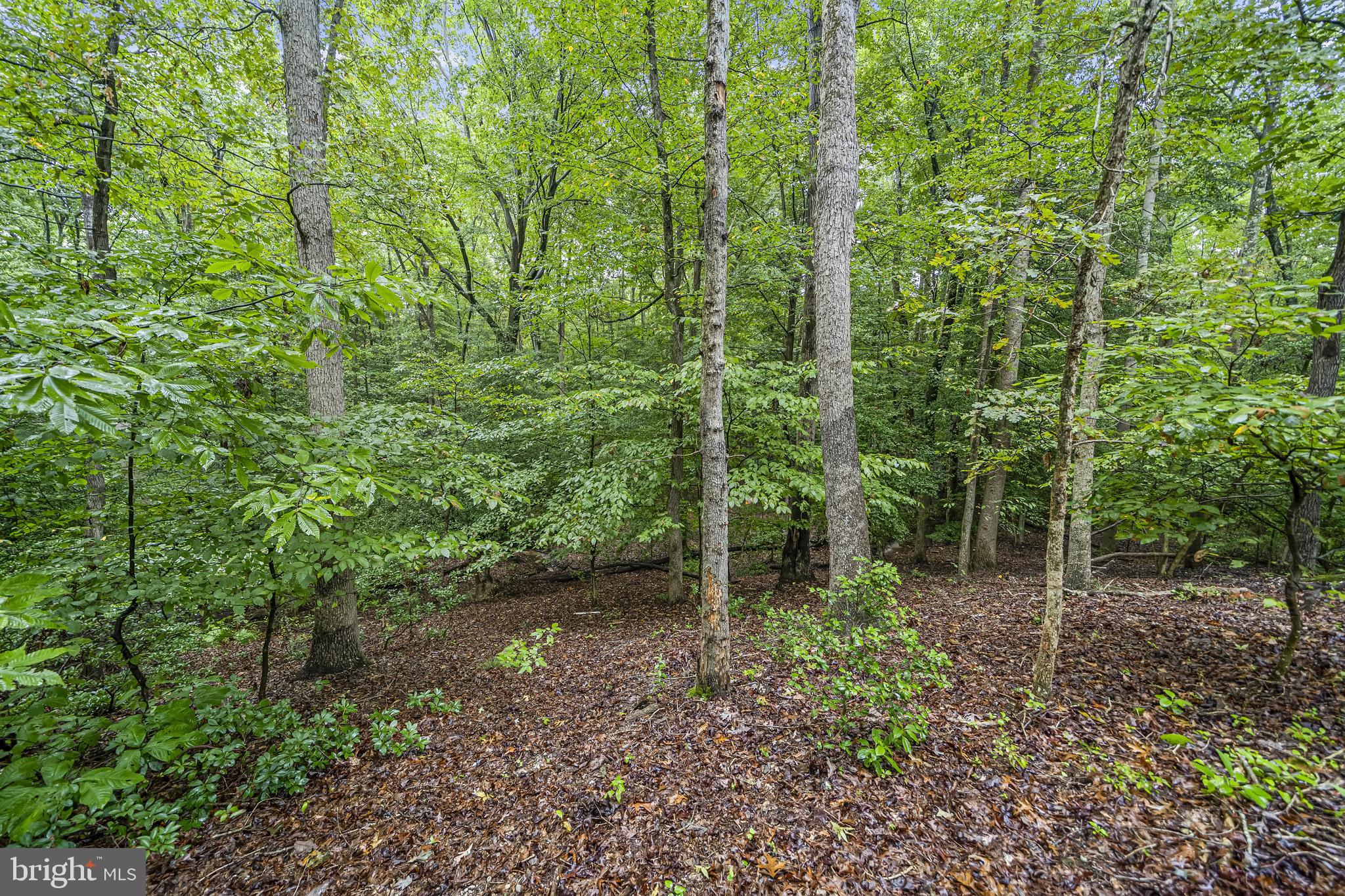 16200 Baden Naylor Road Brandywine, MD 20613 - Photo 30 of 37 Gallery Image 30