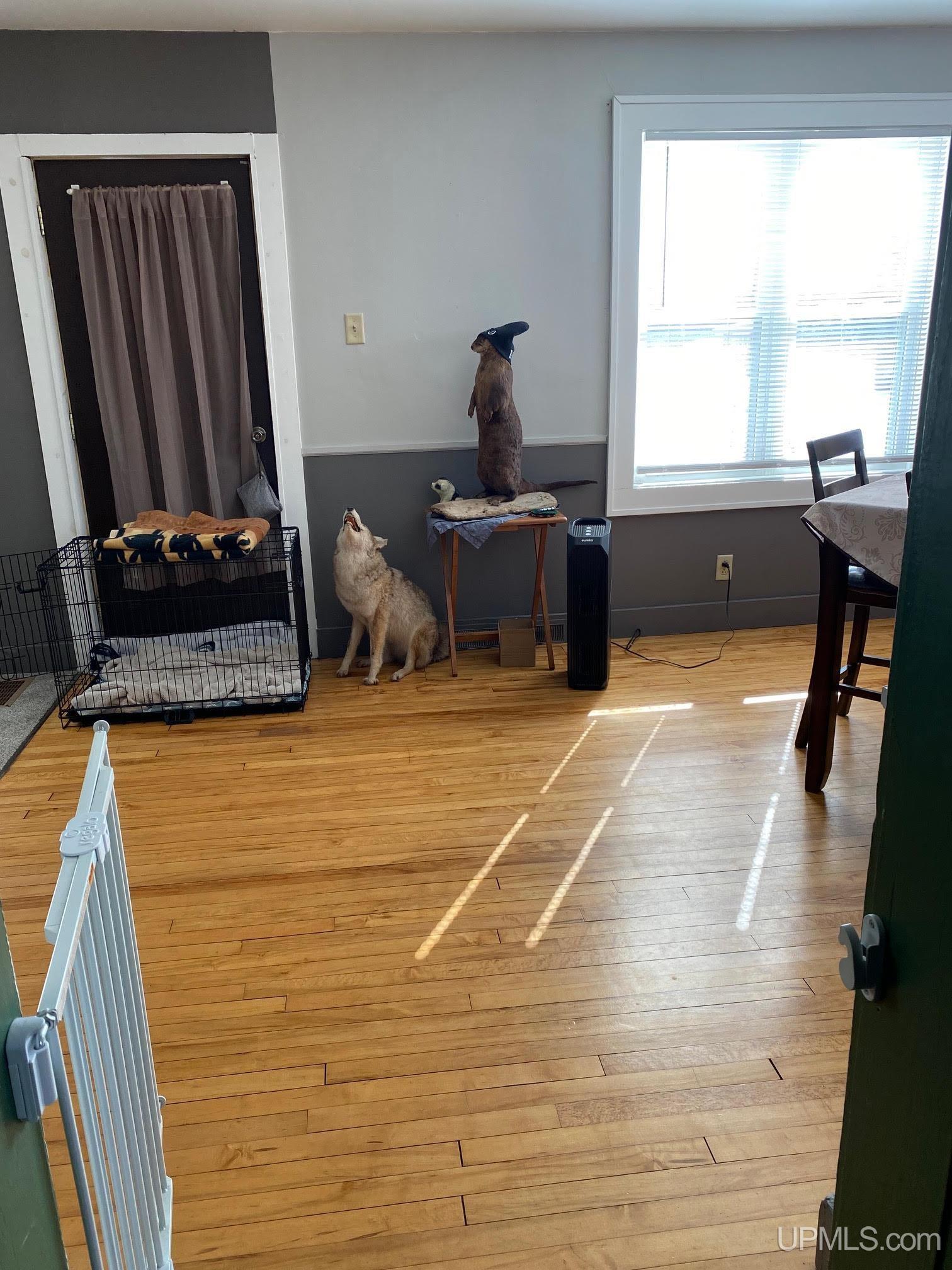 300 Gold Street Ishpeming, MI 49849 - Photo 15 of 34 Gallery Image 15