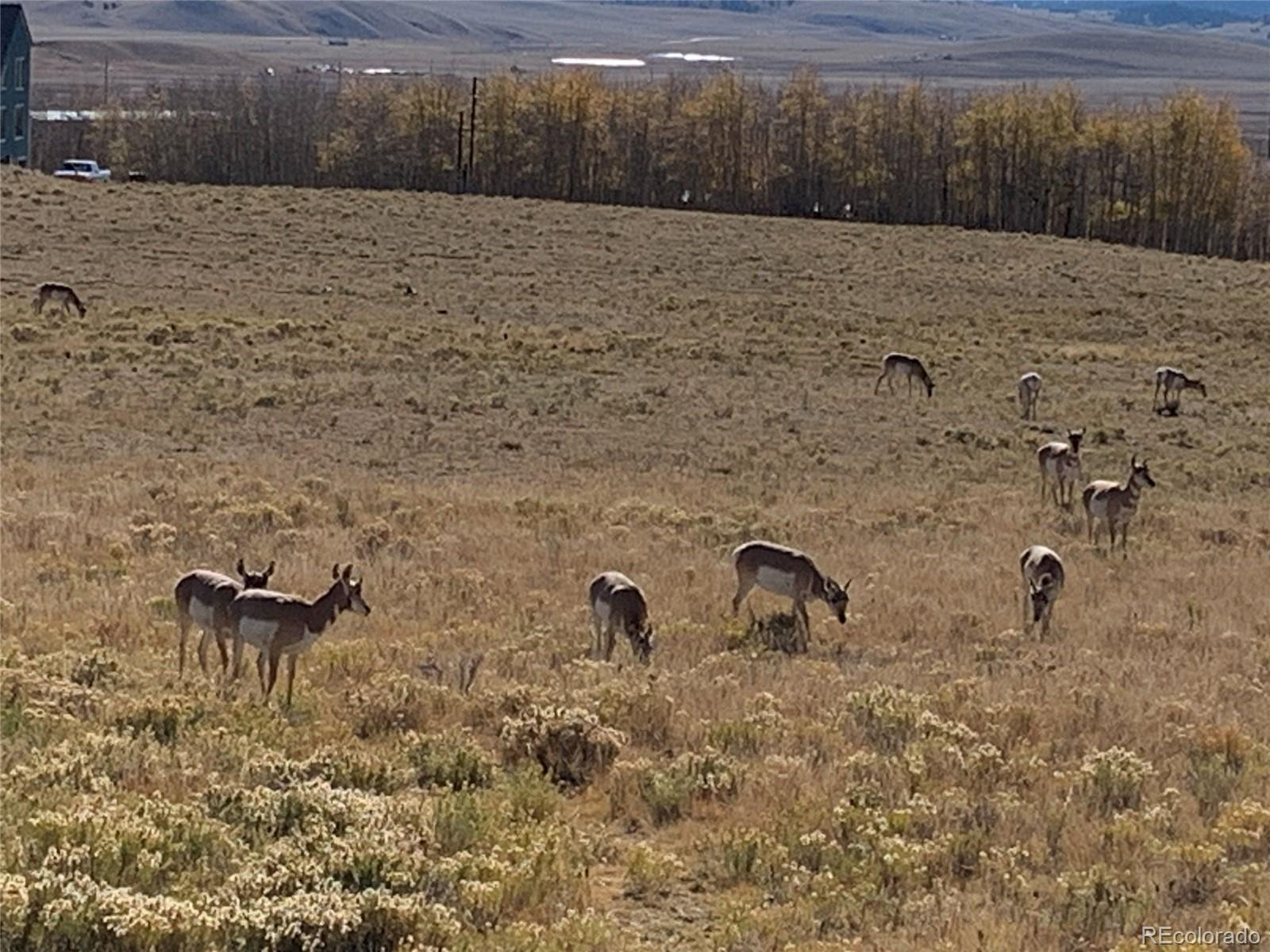 Michigan Hill Road Jefferson, CO 80456 - Photo 14 of 18