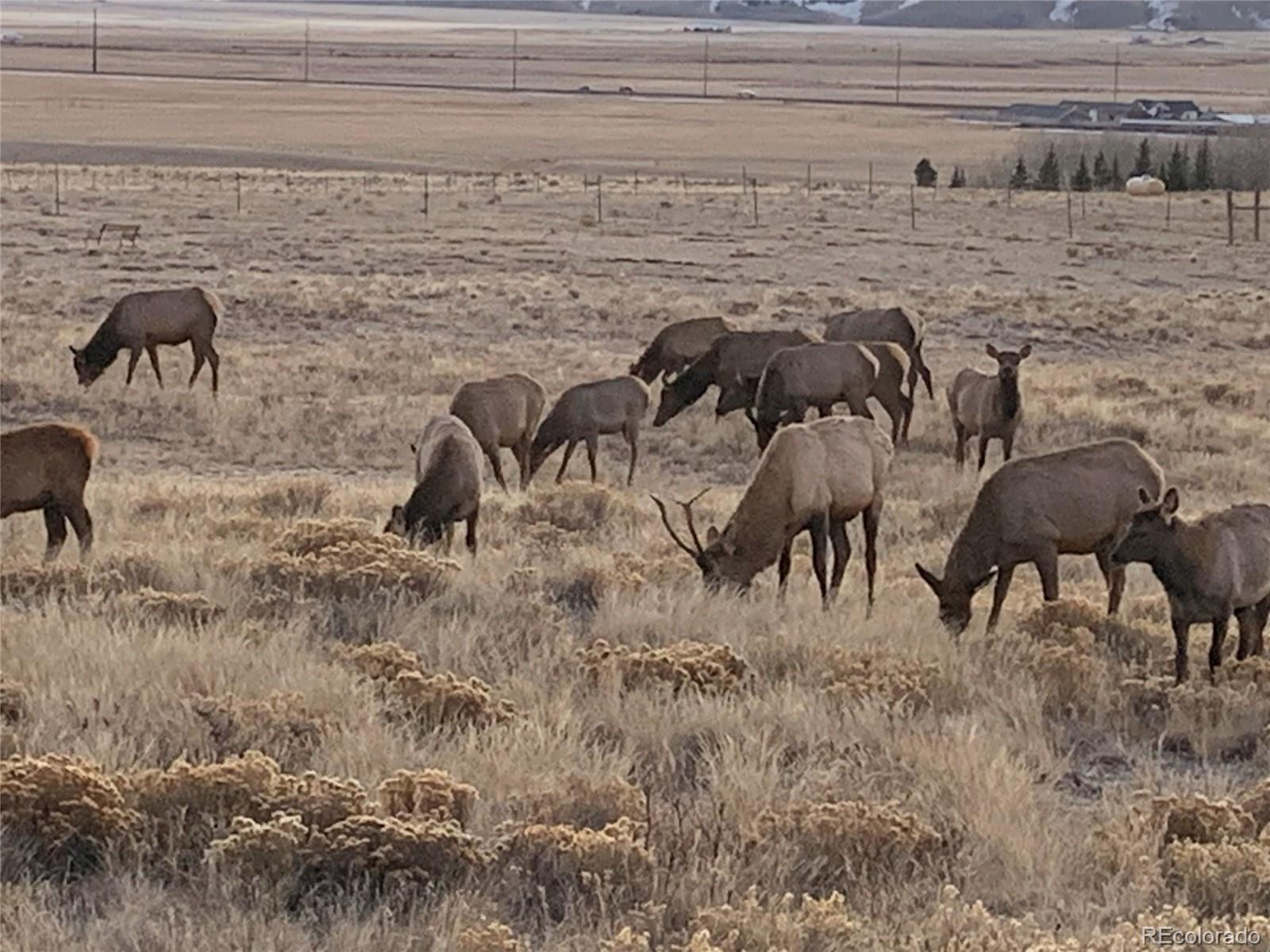 Michigan Hill Road Jefferson, CO 80456 - Photo 15 of 18