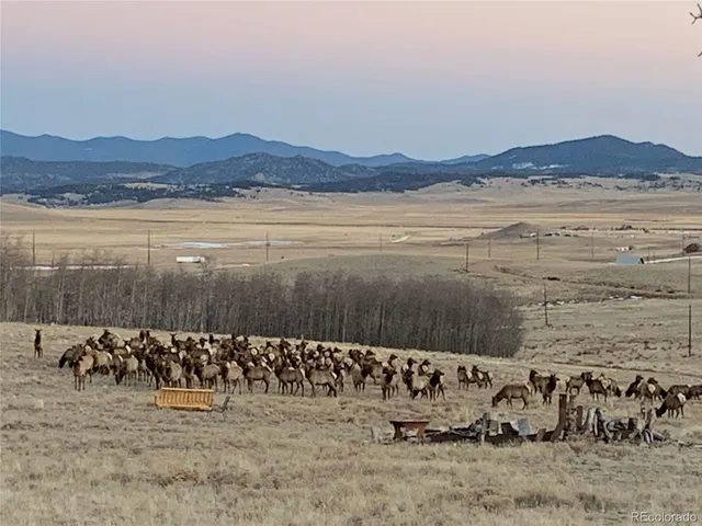 $75,000 | Michigan Hill Road, Jefferson, CO 80456