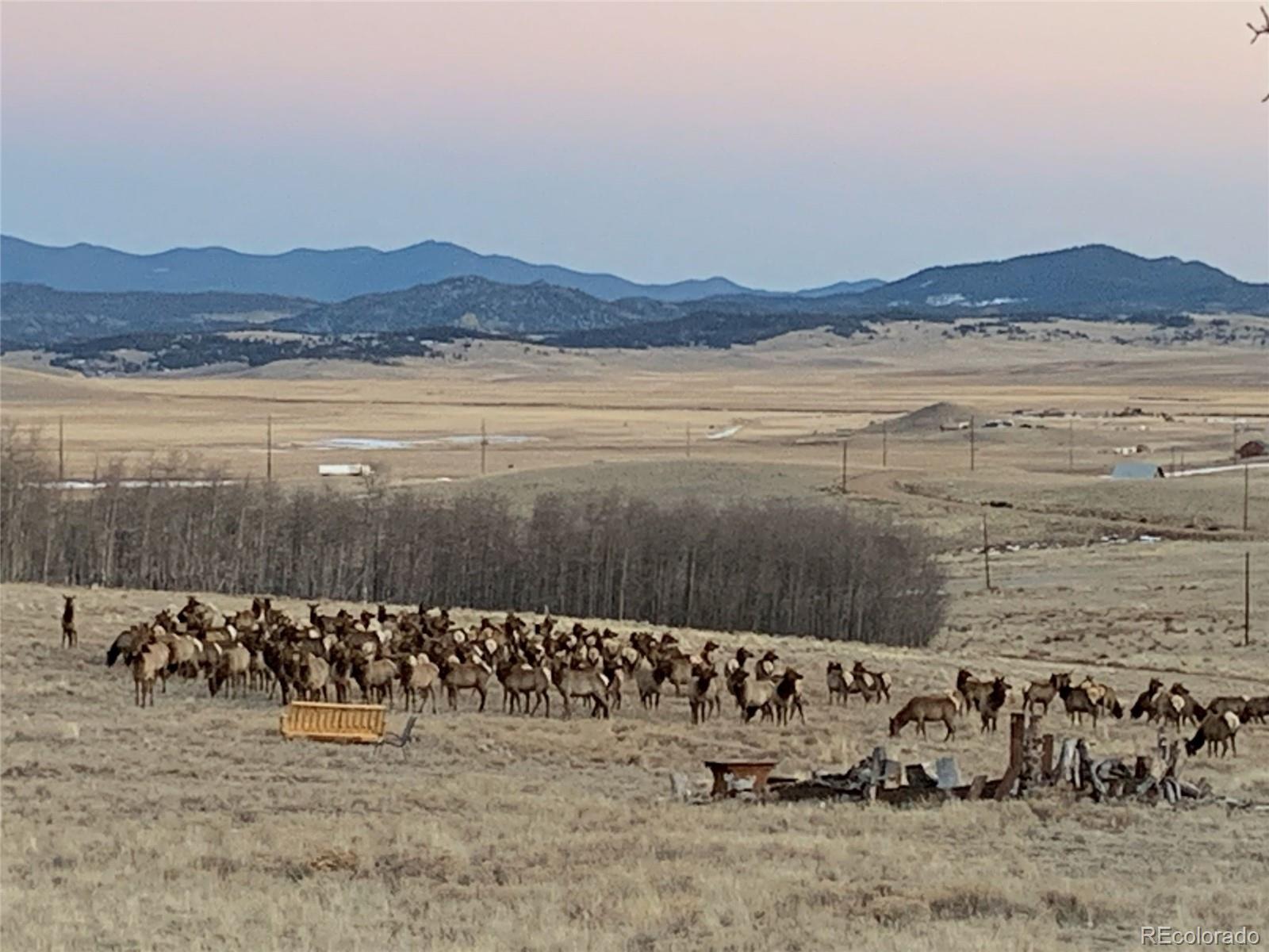 Michigan Hill Road Jefferson, CO 80456 - Photo 16 of 18