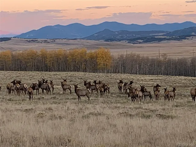 $75,000 | Michigan Hill Road, Jefferson, CO 80456