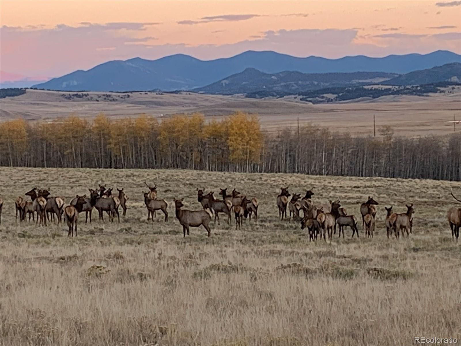 Michigan Hill Road Jefferson, CO 80456 - Photo 4 of 18