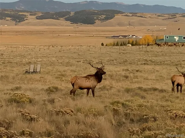 $75,000 | Michigan Hill Road, Jefferson, CO 80456