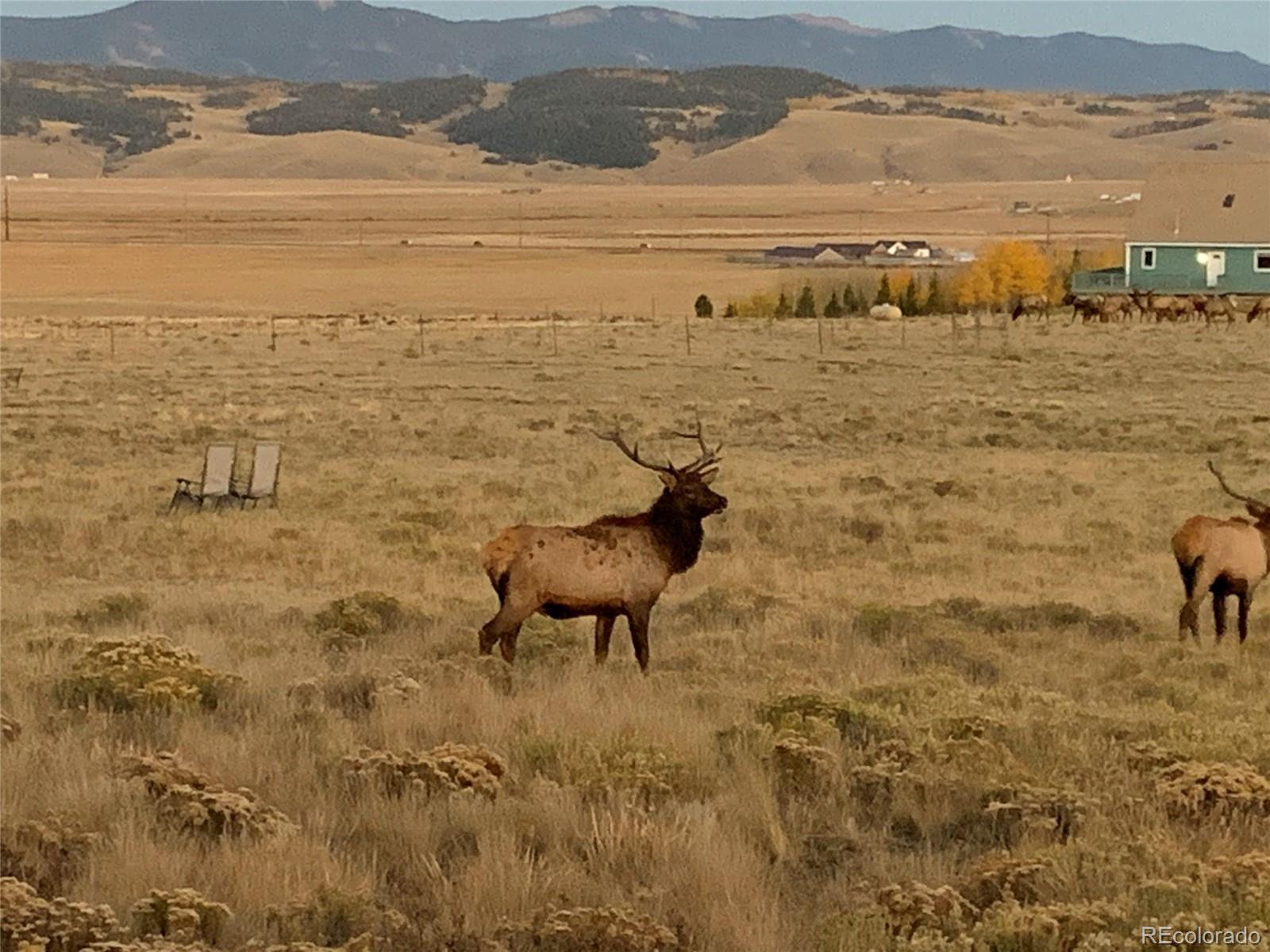 Michigan Hill Road Jefferson, CO 80456 - Photo 10 of 18