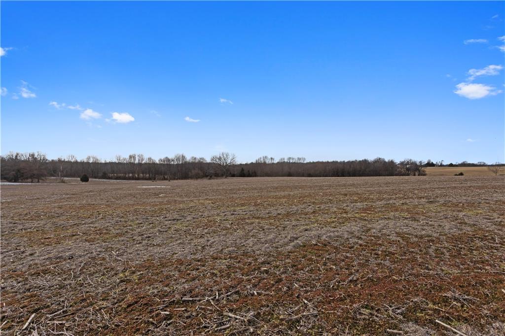 Lot 2 Quinn Road Trimble, MO 64492 - Photo 10 of 16