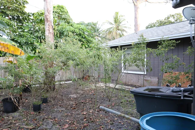 a view of a backyard with table and chairs potted plants