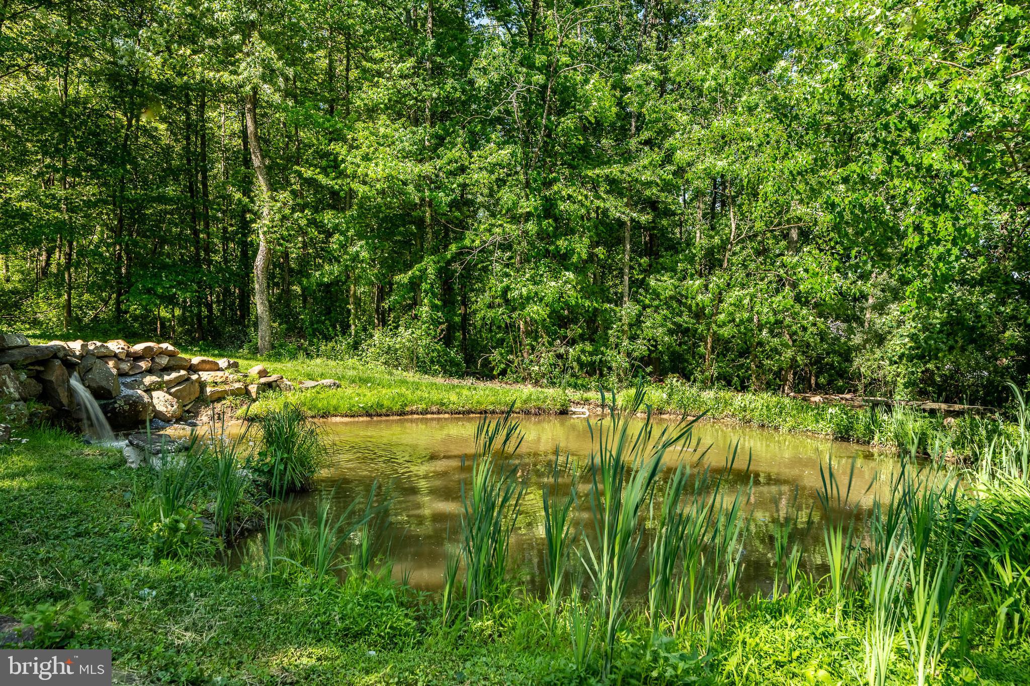 186 Bragg Hill Road West Chester, PA 19382 - Photo 65 of 75 Lower Pond