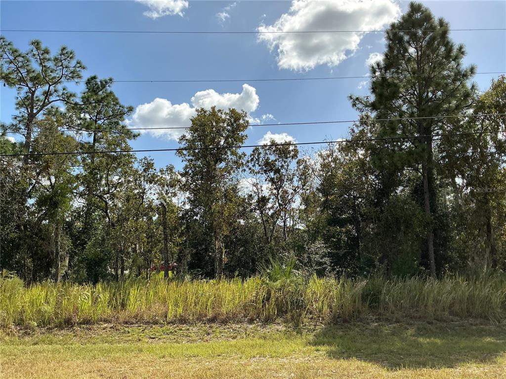 Hemlock Loop Ocala, FL 34472 - Photo 1 of 1 Gallery Image 1