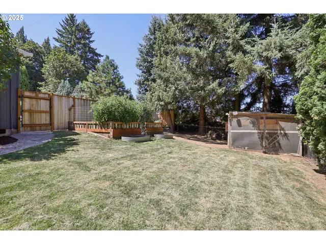 a backyard of a house with a tree