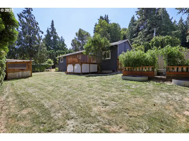 a view of a backyard with potted plants and large tree