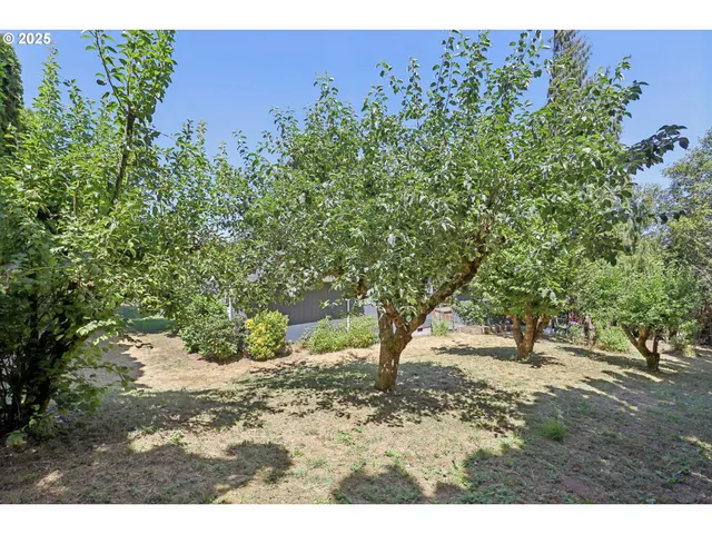 a view of outdoor space with deck and tree
