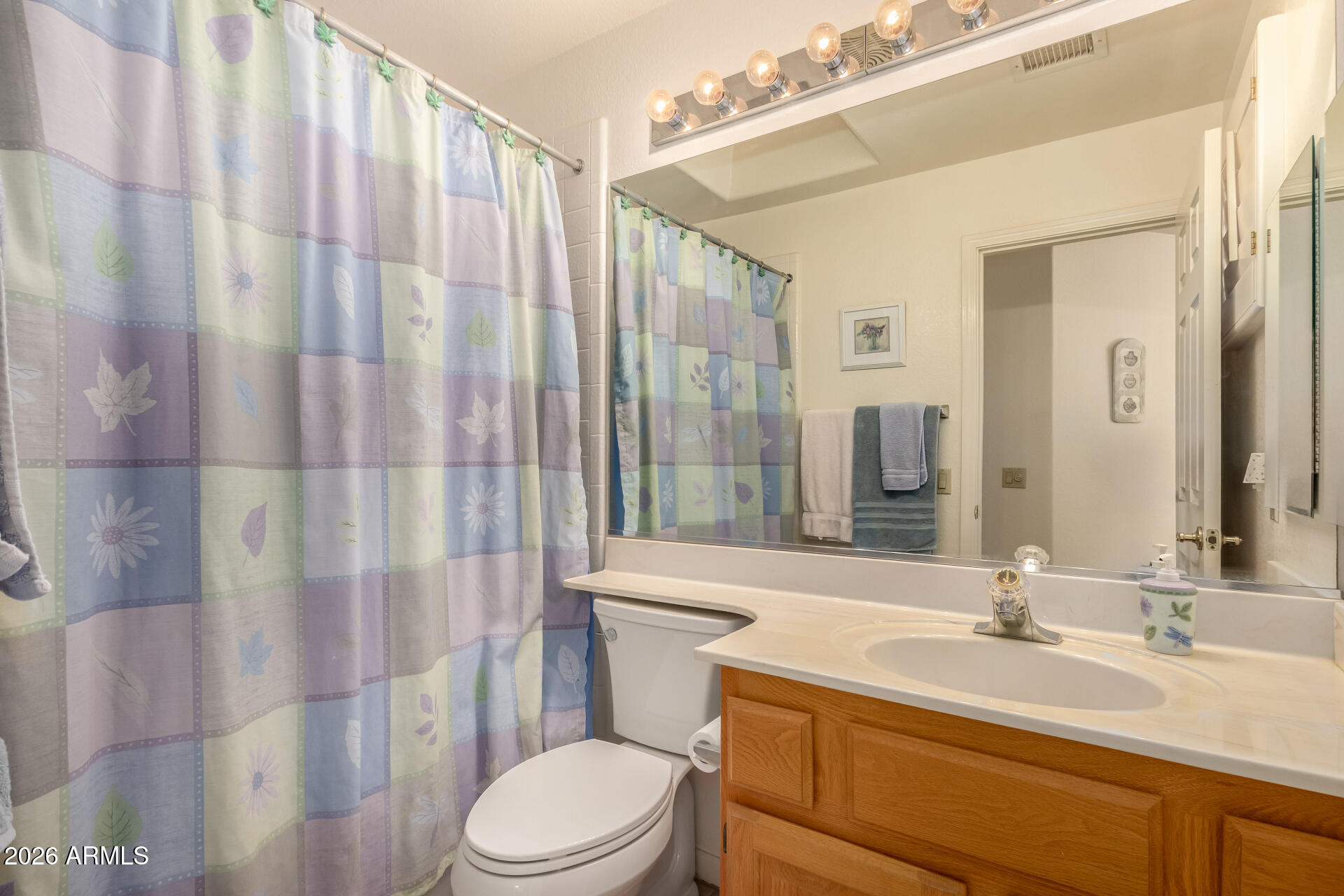 10904 East Spring Creek Road Sun Lakes, AZ 85248 - Photo 28 of 37 a bathroom with a sink a toilet a mirror and shower curtain