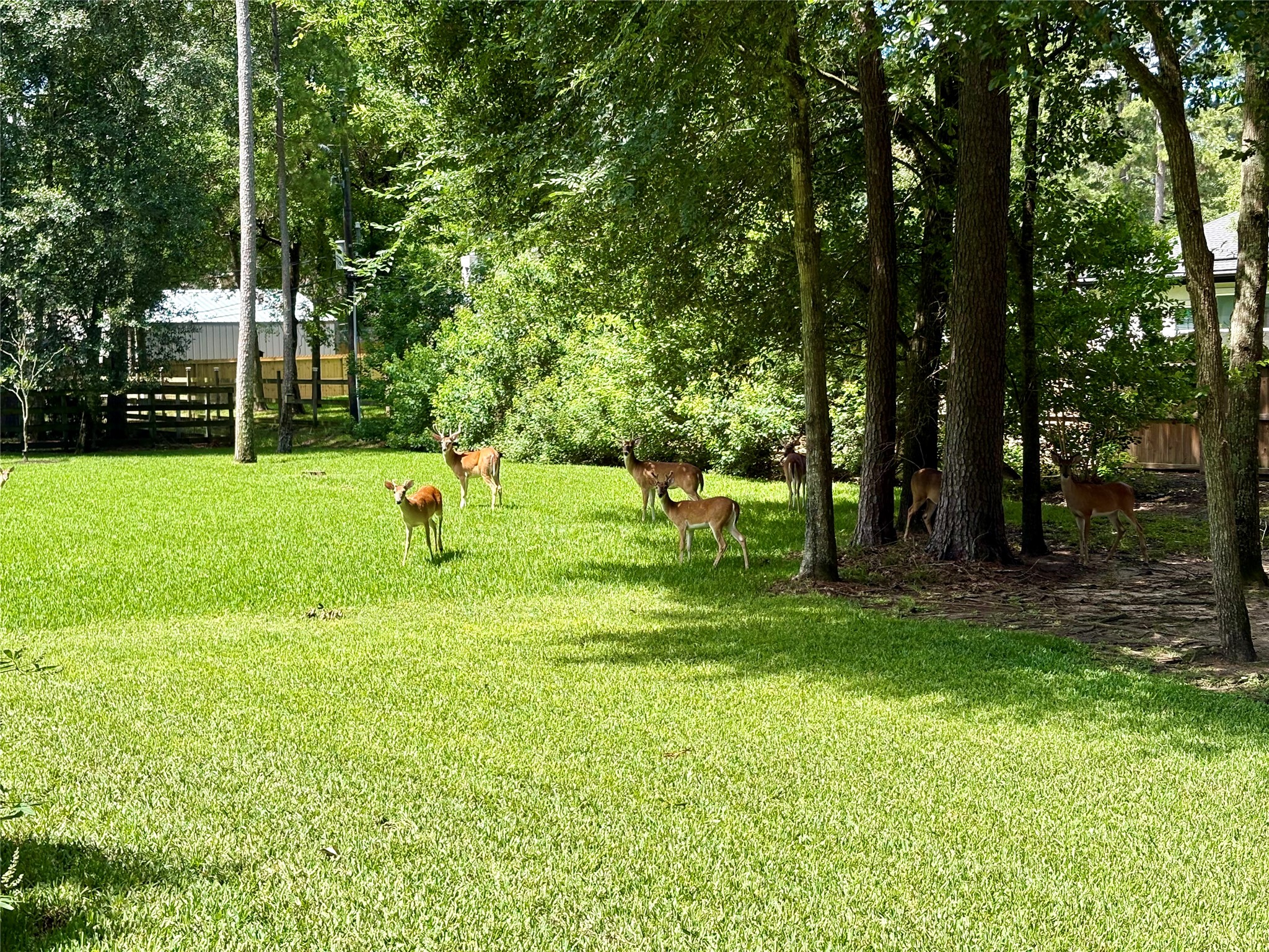 34015 Conroe Huffsmith Road Magnolia, TX 77354 - Photo 32 of 33
