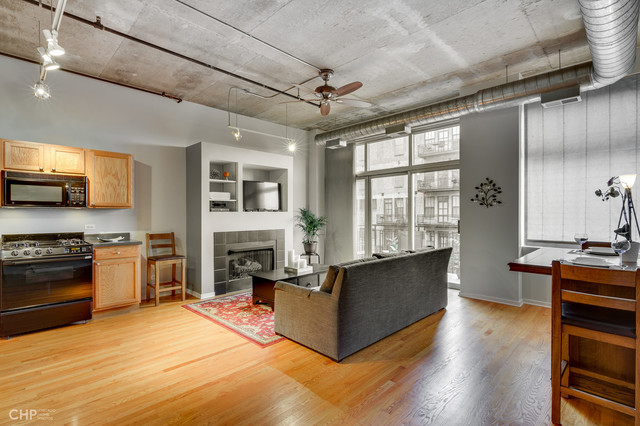 1000 West Adams Street, Unit 523 Chicago, IL 60607 - Photo 3 of 16