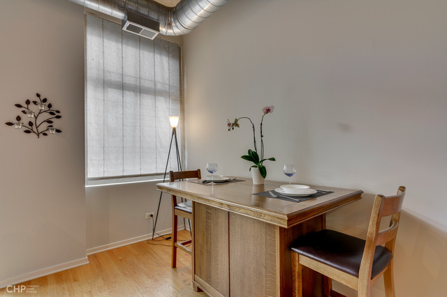 1000 West Adams Street, Unit 523 Chicago, IL 60607 - Photo 8 of 16