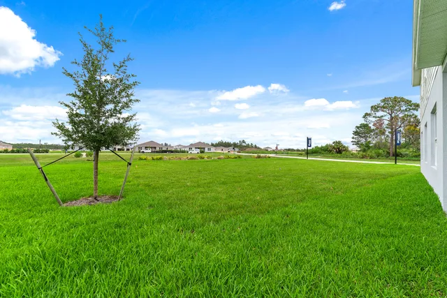 a view of a park with large trees