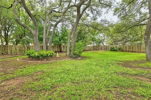 a view of a backyard with large trees