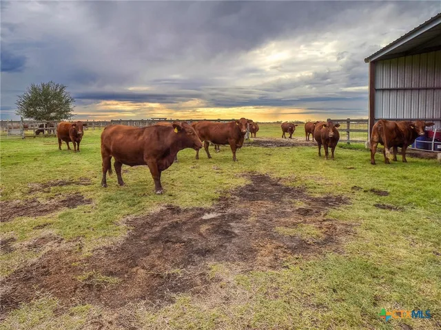 $1,790,000 | 198 County Road 310, Yoakum, TX 77995