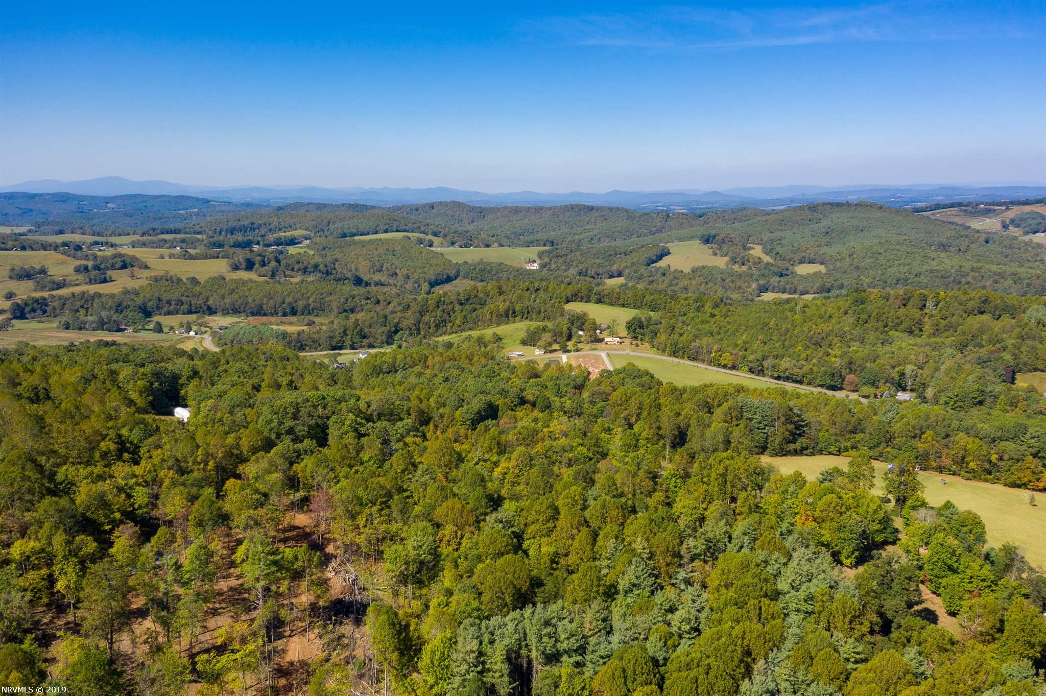 Tbd Carrollview Road Fancy Gap, VA 24328 - Photo 21 of 23 Gallery Image 21