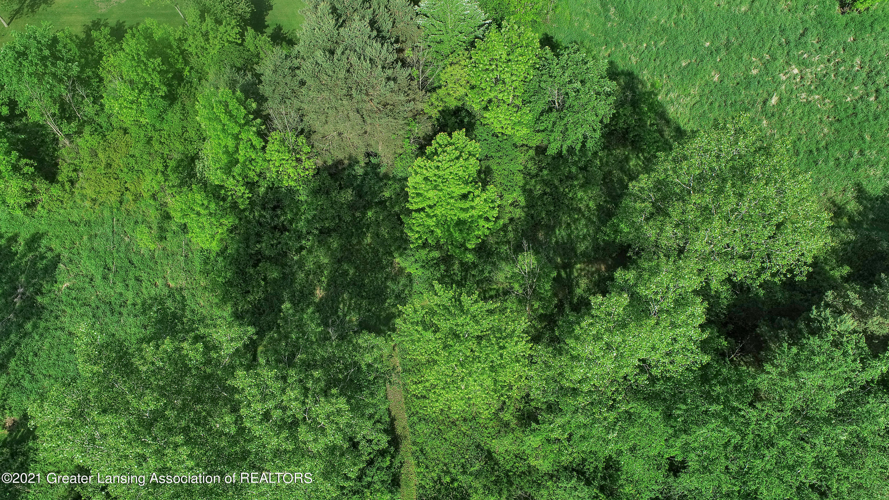 363 Turner Road Williamston, MI 48895 - Photo 63 of 72 DJI_0803