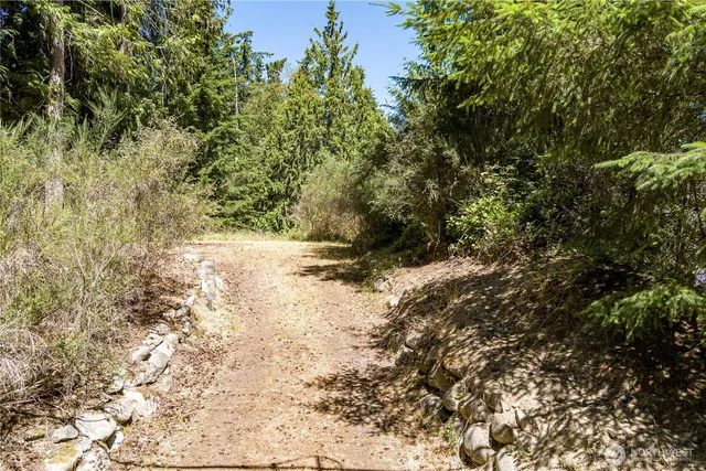 a view of a yard with a tree