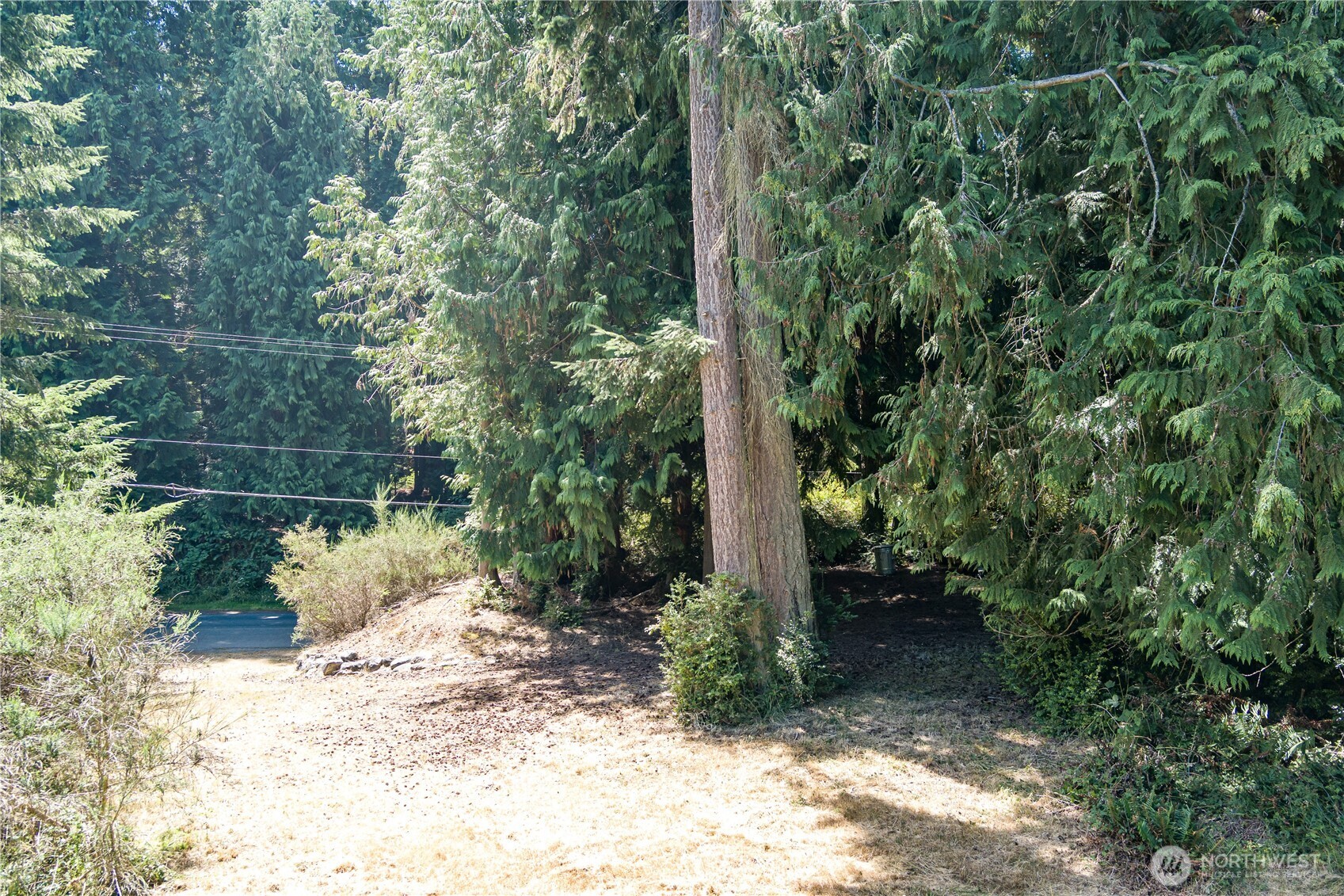 -xxx Sandy Point Road Langley, WA 98260 - Photo 17 of 17 a view of a yard with plants and trees