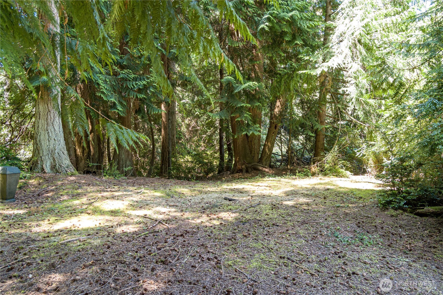 -xxx Sandy Point Road Langley, WA 98260 - Photo 2 of 17 a view of a yard with large trees