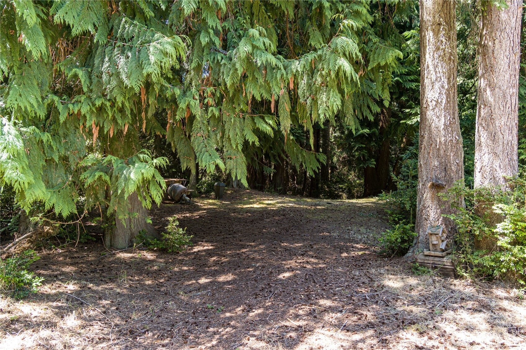 -xxx Sandy Point Road Langley, WA 98260 - Photo 3 of 17 a view of a yard with plants and large trees