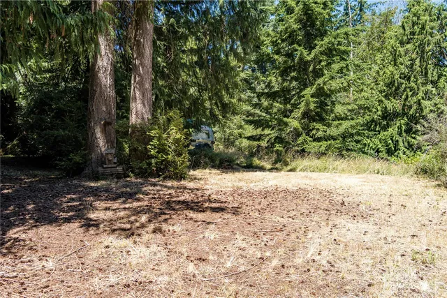 a wooden bench with view of trees