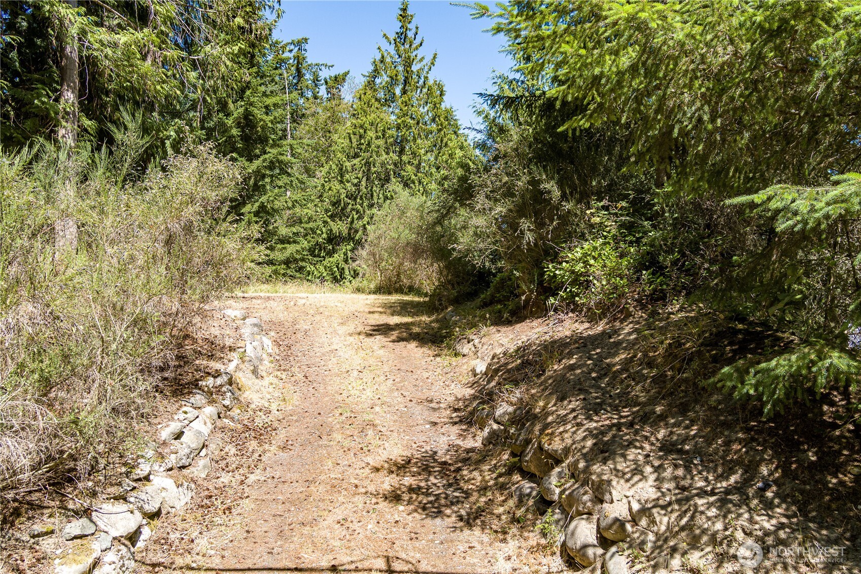 -xxx Sandy Point Road Langley, WA 98260 - Photo 5 of 17 a view of a yard with a tree